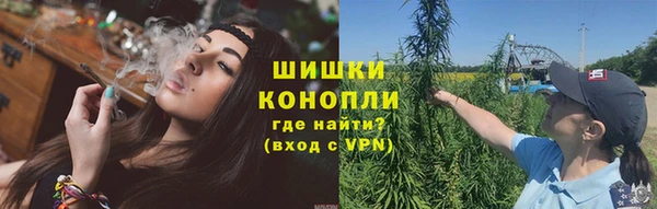 стаф Зерноград