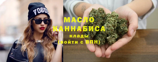 индика Инта