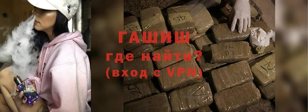 индика Инта