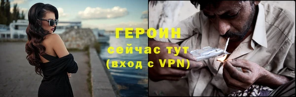 индика Инта