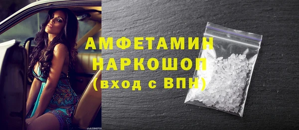 индика Инта