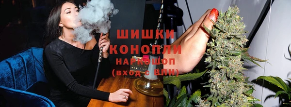 стаф Зерноград