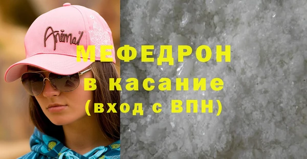 индика Инта