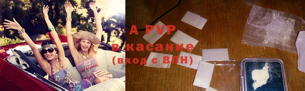 стаф Зерноград