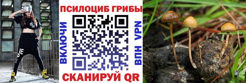 Галлюциногенные грибы мухоморы  гидра как войти  Истра 